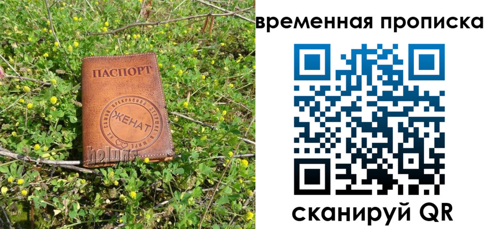форма 3 в Глазове